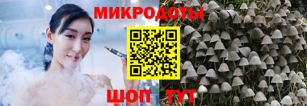 Псилоцибиновые грибы прущие грибы Заволжье